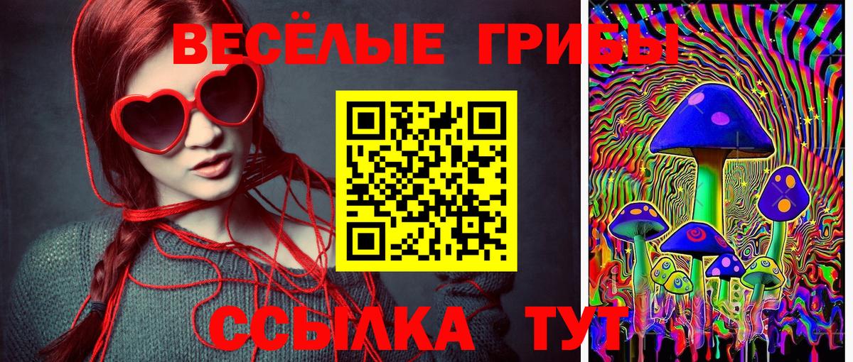 Псилоцибиновые грибы мицелий Волгодонск
