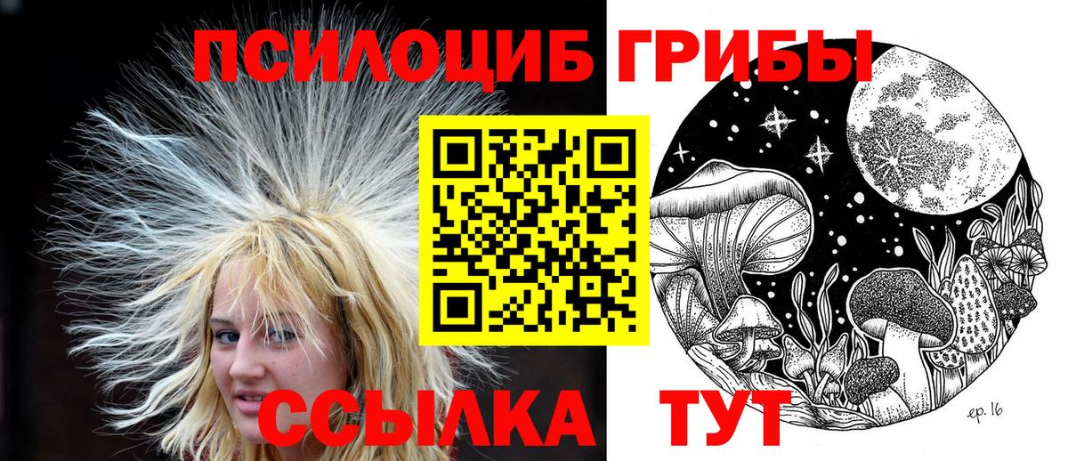 Псилоцибиновые грибы мицелий  Вход с VPN  где продают наркотики  Волгодонск  Галлюциногенные грибы Cubensis 