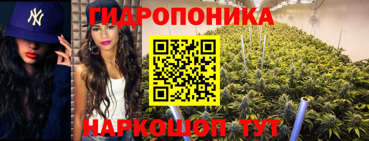 Волгодонск  Бошки марихуана Bruce Banner  Вход с VPN  Бошки Шишки планчик 